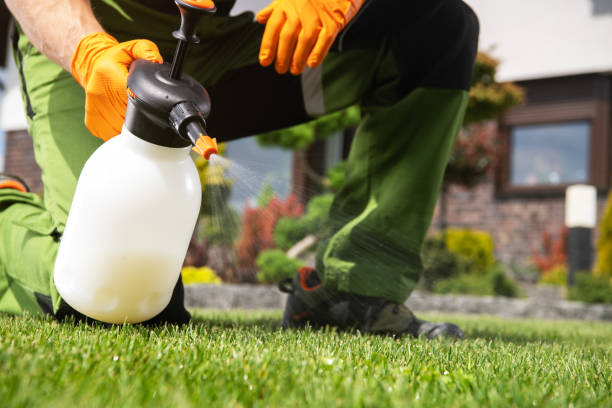 Professional Pest Control in Catasauqua, PA