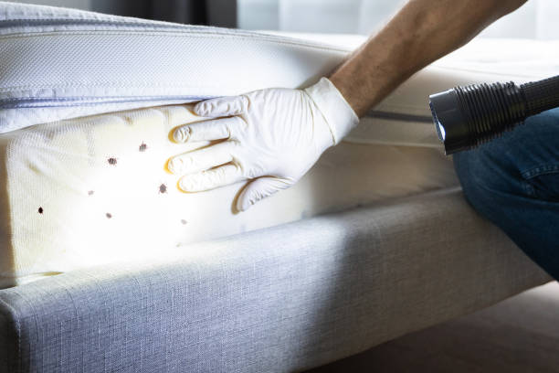 Best Best Pest Control Companies  in Catasauqua, PA