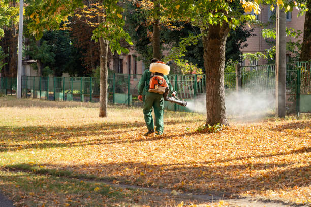 Insect Control in Catasauqua, PA